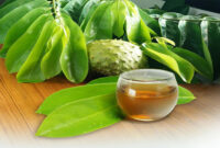 Manfaat Daun Sirsak untuk Kesehatan dan Pencegahan Asam Urat manfaat daun sirsak