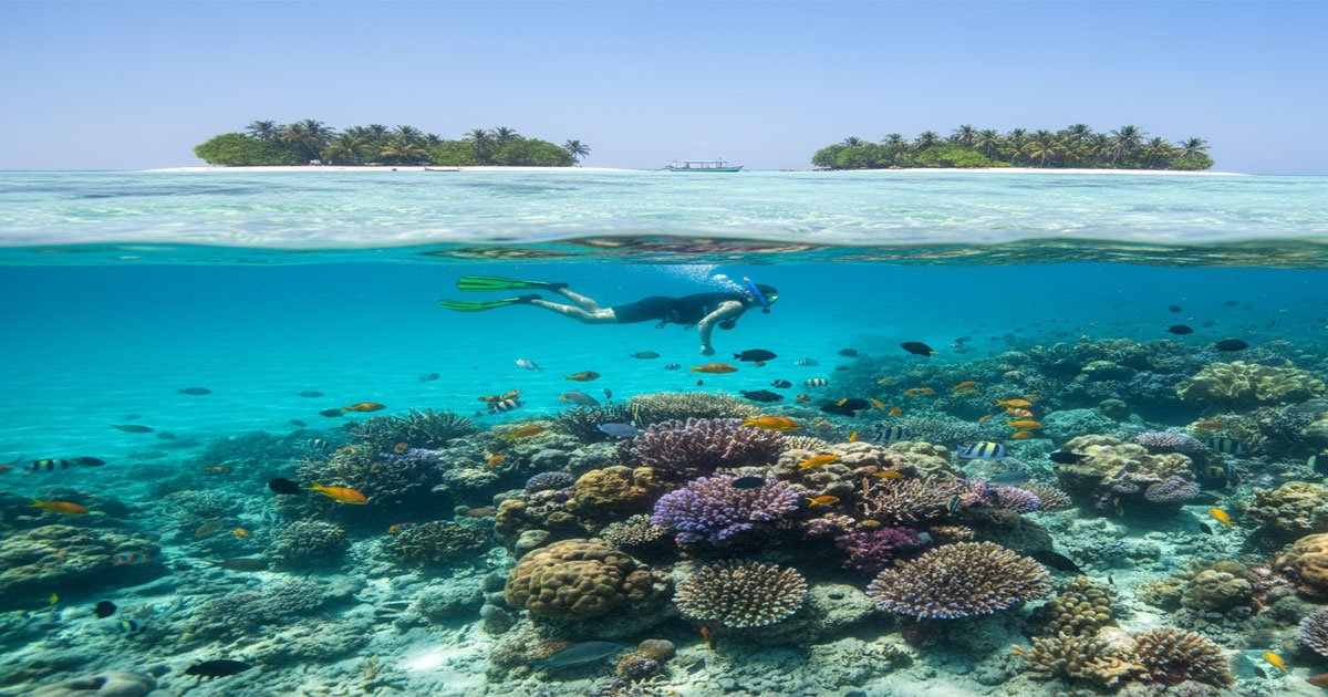 Sensasi Snorkeling di Kepulauan Karimunjawa Surga Laut Jawa